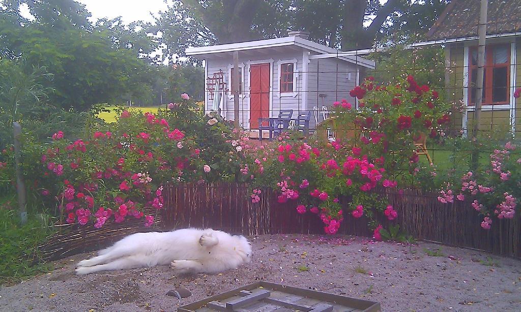 Borakra Bed & Breakfast คาร์ลส์ครูนา ภายนอก รูปภาพ